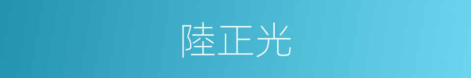 陸正光的同義詞