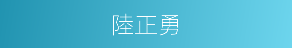 陸正勇的同義詞