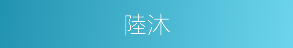 陸沐的同義詞