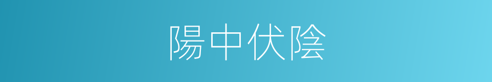 陽中伏陰的意思