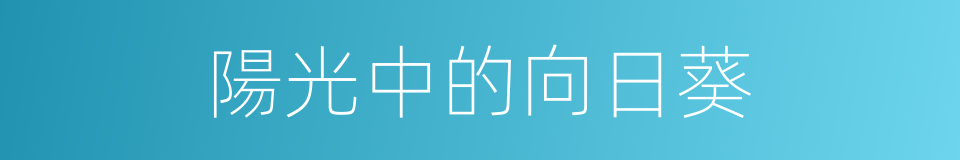 陽光中的向日葵的同義詞