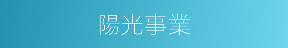 陽光事業的同義詞