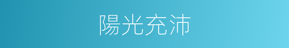 陽光充沛的同義詞