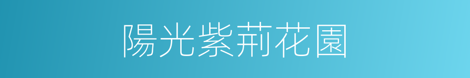 陽光紫荊花園的同義詞