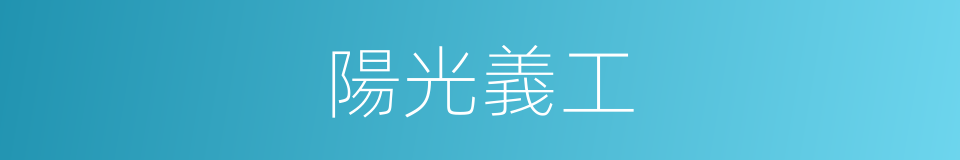 陽光義工的同義詞