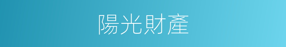 陽光財產的同義詞