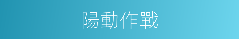 陽動作戰的同義詞