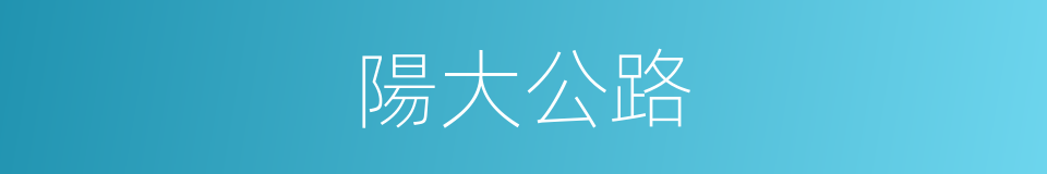 陽大公路的同義詞