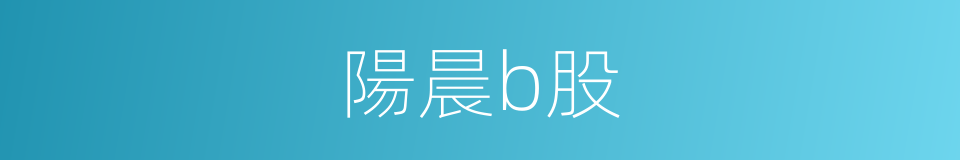 陽晨b股的同義詞