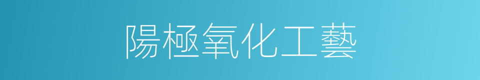 陽極氧化工藝的同義詞