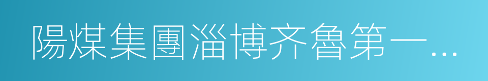 陽煤集團淄博齐魯第一化肥有限公司的同義詞