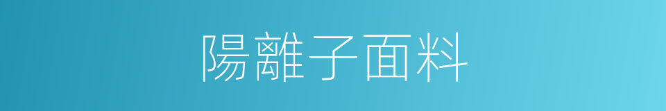 陽離子面料的同義詞