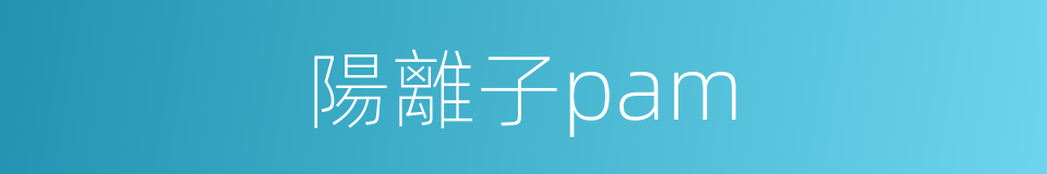 陽離子pam的同義詞