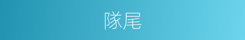隊尾的意思