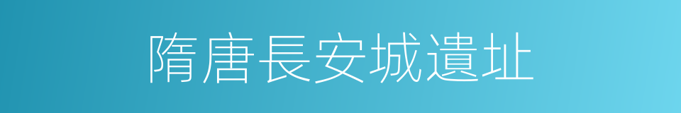 隋唐長安城遺址的同義詞