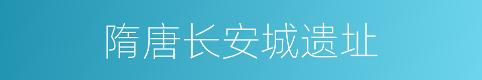 隋唐长安城遗址的同义词