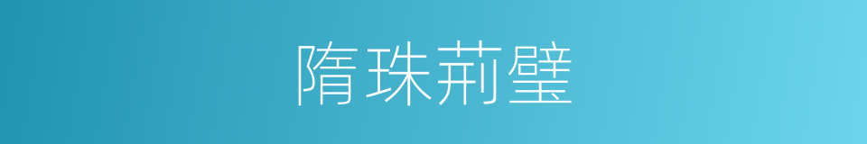 隋珠荊璧的同義詞