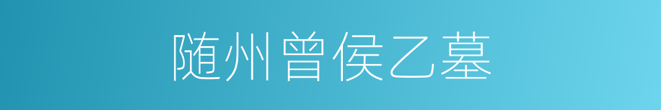 随州曾侯乙墓的同义词