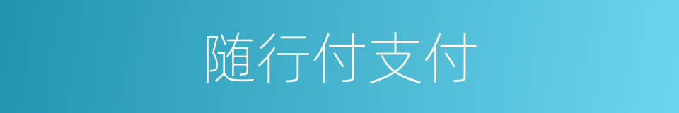 随行付支付的同义词
