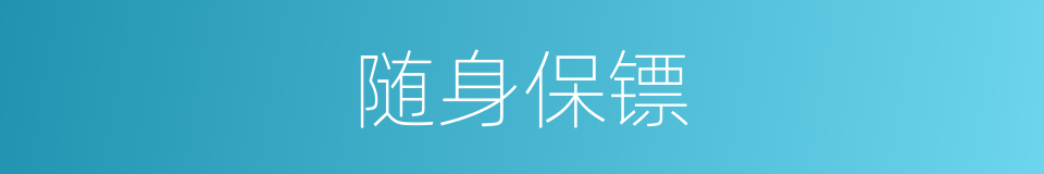 随身保镖的同义词