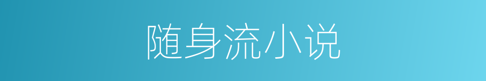 随身流小说的同义词