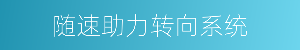 随速助力转向系统的同义词