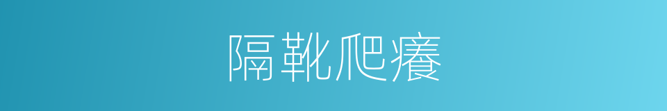 隔靴爬癢的意思