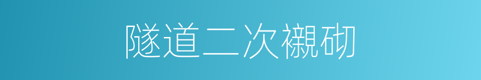 隧道二次襯砌的同義詞