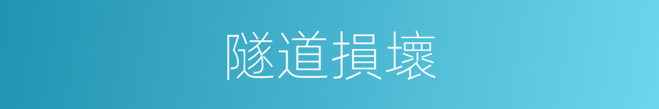 隧道損壞的同義詞