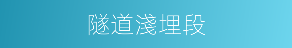 隧道淺埋段的同義詞