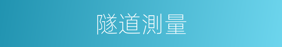 隧道測量的同義詞