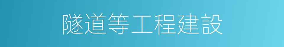 隧道等工程建設的同義詞