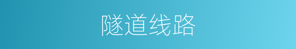隧道线路的同义词