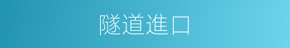 隧道進口的同義詞