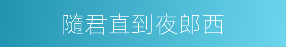 隨君直到夜郎西的同義詞