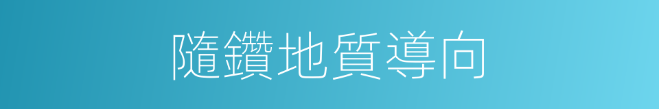 隨鑽地質導向的同義詞