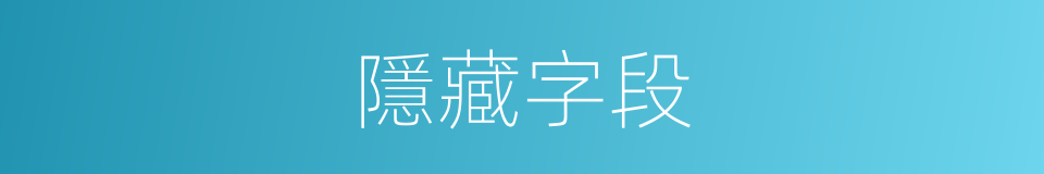 隱藏字段的同義詞