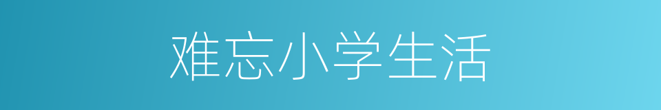 难忘小学生活的同义词