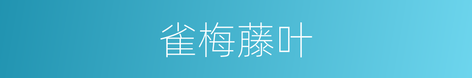 雀梅藤叶的同义词