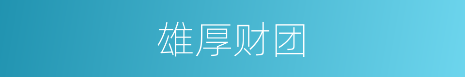 雄厚财团的同义词