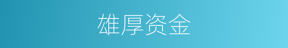 雄厚资金的同义词