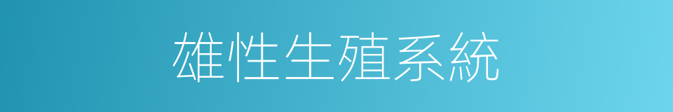雄性生殖系統的同義詞