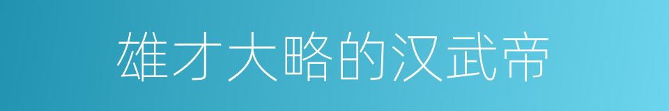 雄才大略的汉武帝的同义词