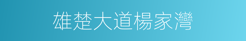 雄楚大道楊家灣的同義詞