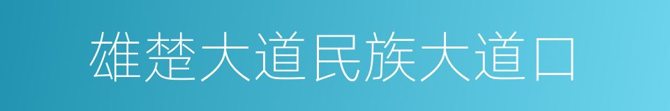 雄楚大道民族大道口的同义词