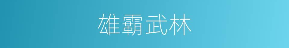 雄霸武林的同义词
