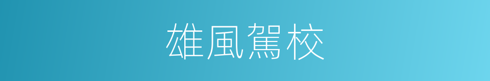 雄風駕校的同義詞