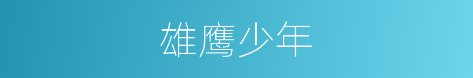 雄鹰少年的同义词