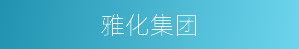 雅化集团的同义词