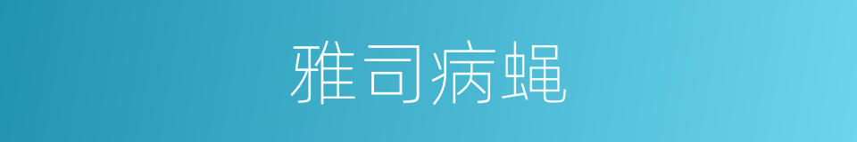 雅司病蝇的意思